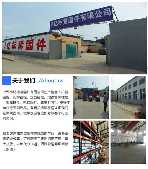 不銹鋼機械錨栓 不銹鋼機械錨栓批發(fā) 釔標(biāo)